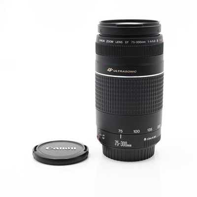 Canon EF 75-300mm f4-5.6 III USM Lens #006 | eBay