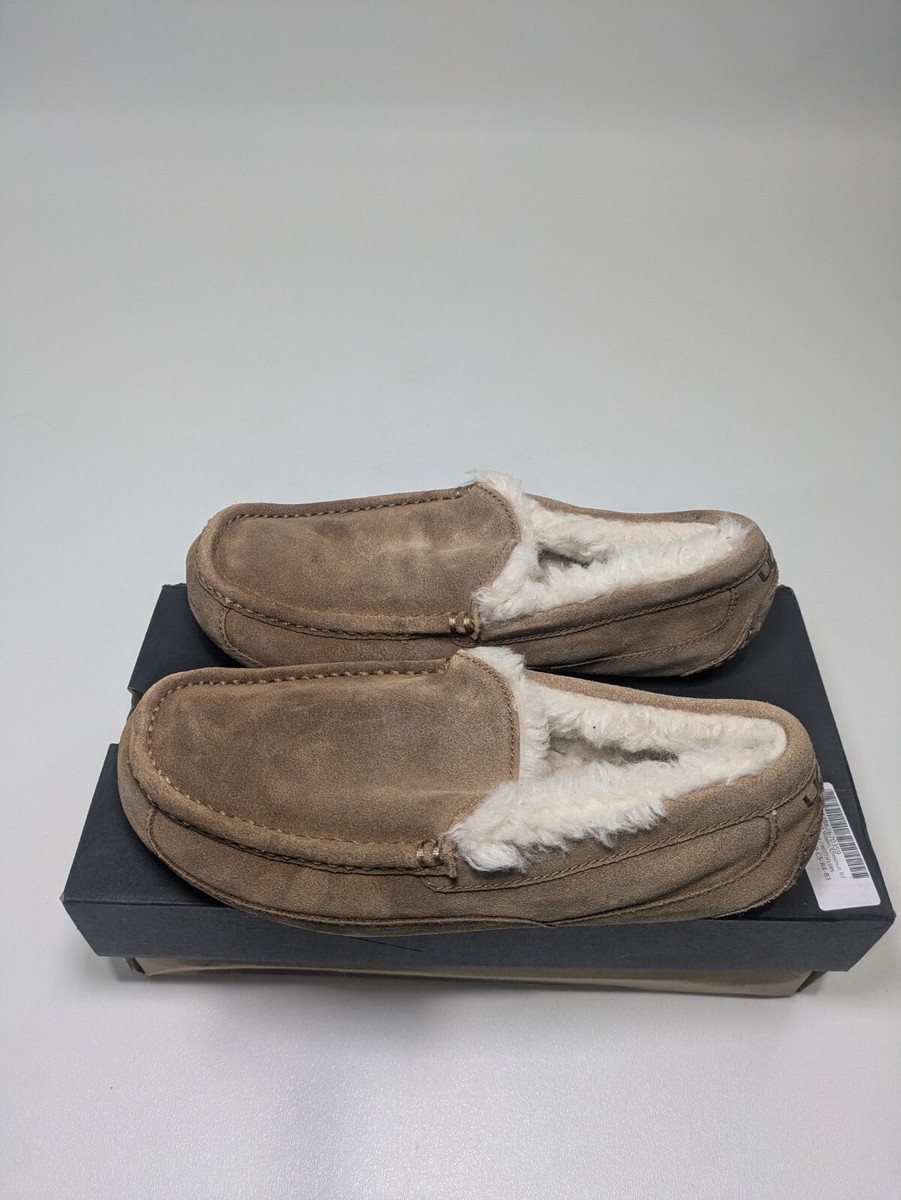 UGG Men display picture 3