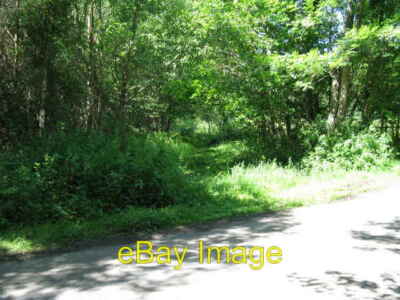 Photo 6x4 Beginning of bridleway NW through Rackham Common Greatham  c2009