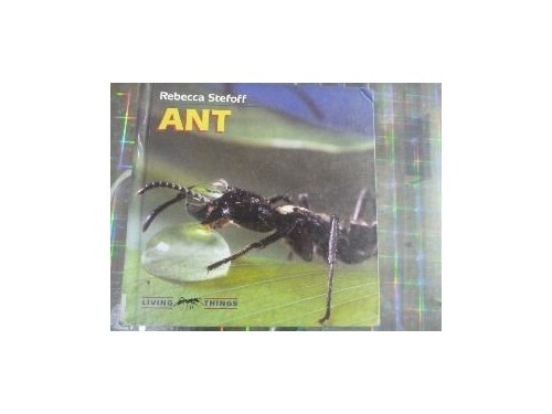 Ant (Living Things), Stefoff, Rebecca