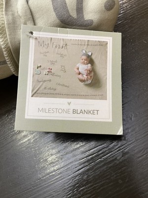 Primitives by Kathy Baby Pet Puppy Kitten My First Holiday Milestone Blanket NWT