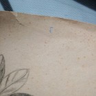 Picture 5 of 10