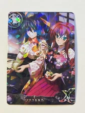 Sexy Group High School DxD Anime Doujin Waifu Art Card R04