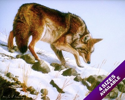 WILD WOLF STALKING IT S PREY ANIMAL PAINTING WILDERNESS ART REAL CANVAS PRINT