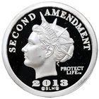 2013 Norfed $25 Second Amendment 1/2 oz .999 Silver Coin Half Liberty (Buds Gun)