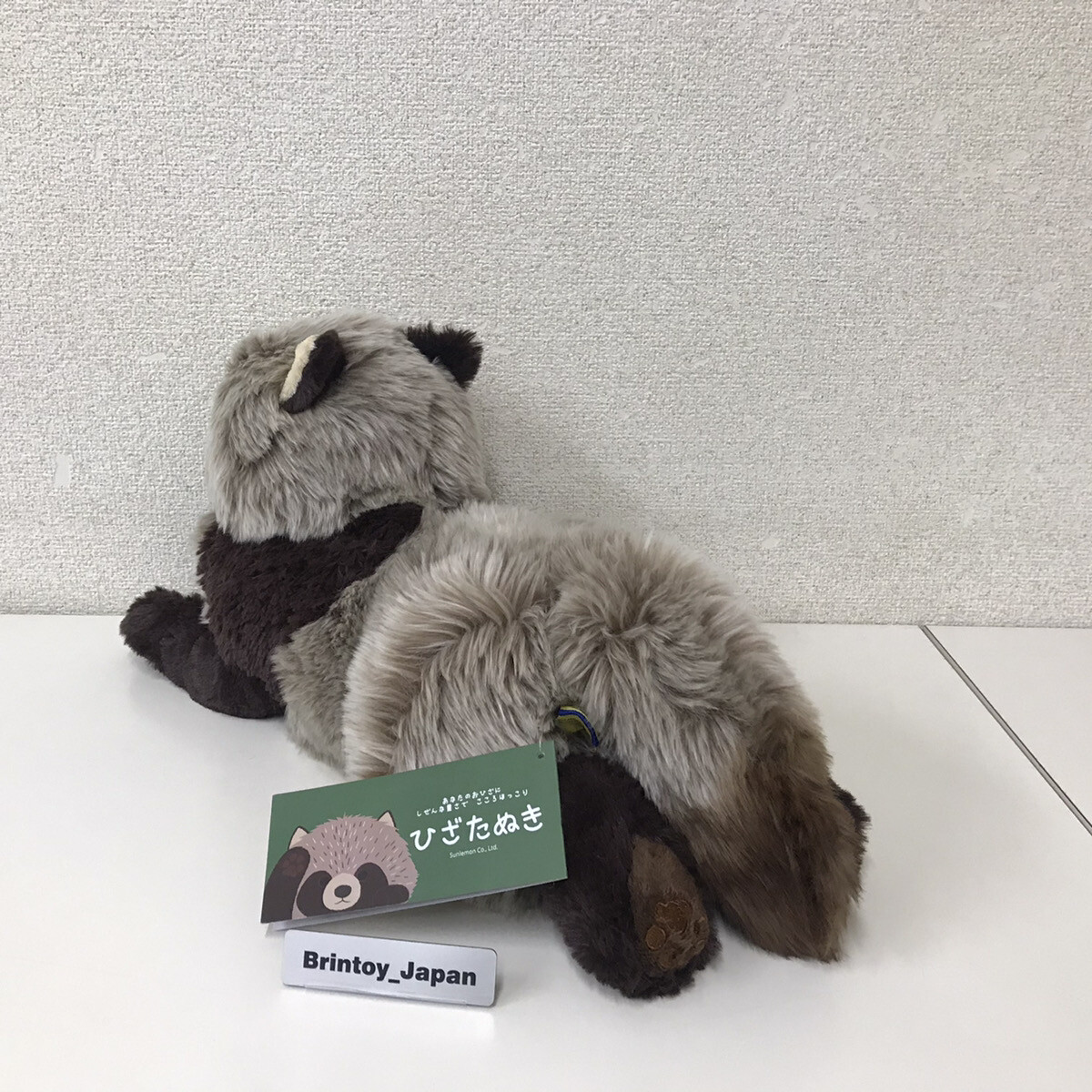 Thumbnail - Sun Lemon M Hizatanuki Knie Waschbär Hund P-6282 Plüsch Puppe