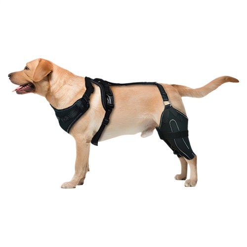 Dog Knee Brace for Torn ACL Pain Relief Support for Hind Leg Large Adjustable