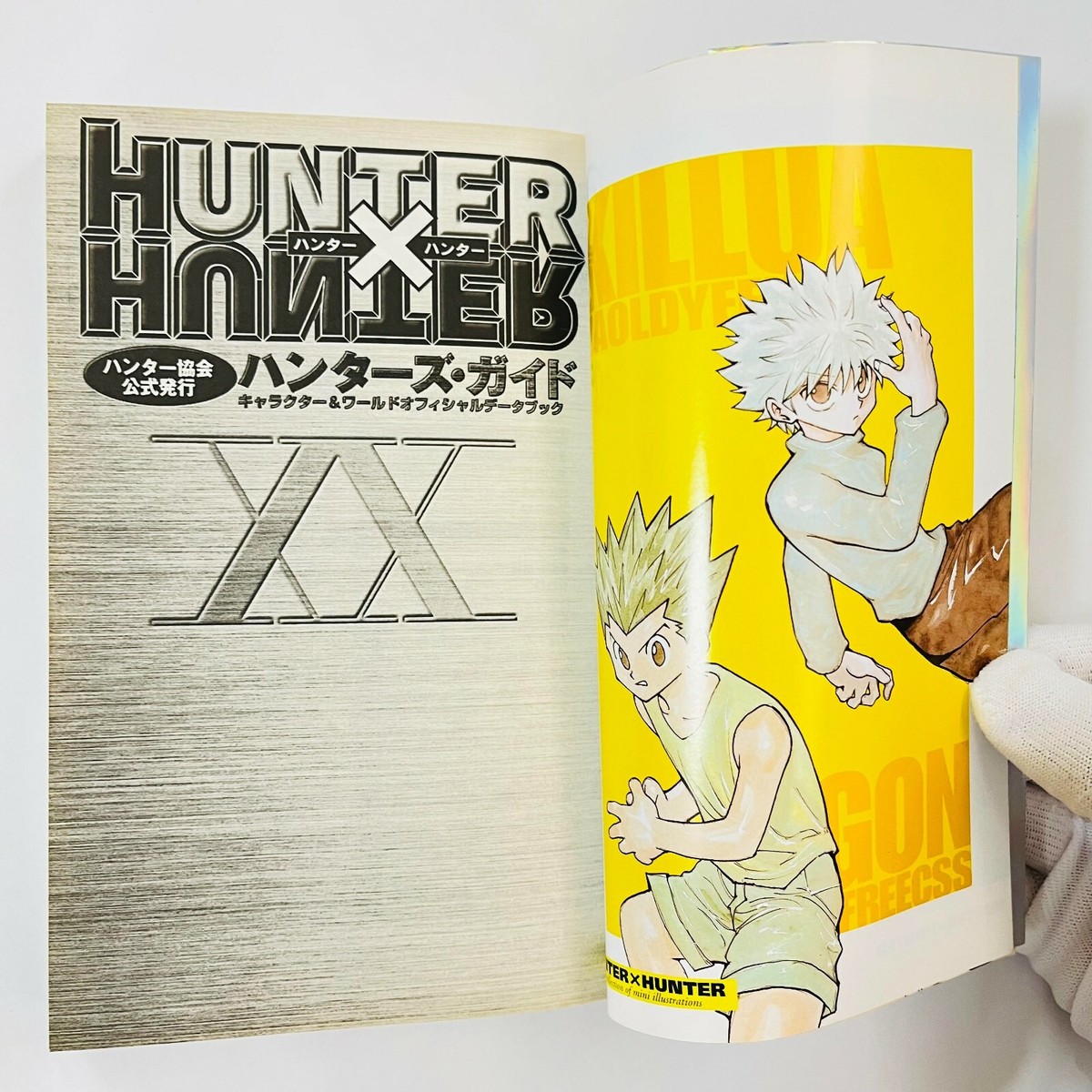 HUNTER x HUNTER Hunter's Guide Book CHARACTER & WORLD