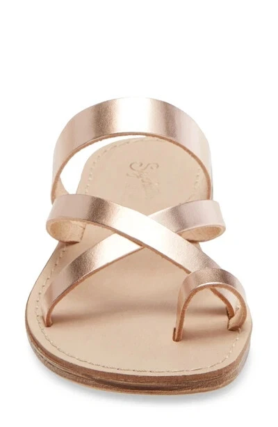 Seychelles so precious best sale sandal