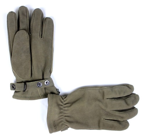 BRAND NEW - Hestra Tongil Glove- Natural- 9- MSRP $170 - Afbeelding 1 van 3