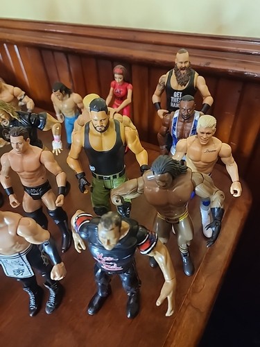 LOT Of 21 Mattel WWE WWF Poseable 7" Action Wrestling Figures 1999-2017 - Afbeelding 6 van 14