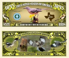 OUR TEXAS NORTHERN MOCKINGBIRD NOVELTY NOTES (25 EA)