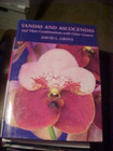 Vandas and Ascocendas and Their Combinations with Other Genera Orchids