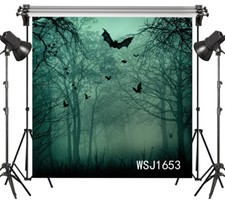 Vinyl Studio Backdrop Photography Photo Props Halloween Forest Bats Background