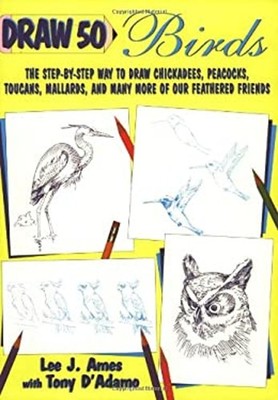 Birds : The Step-by-Step Way to Draw Chickadees, Peacocks, Toucan