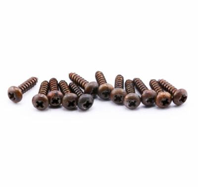 AGP   - Kluson   Aged Relic Phillips Tuning Head Screws (12) #10302371