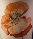 Bild 2 von 8