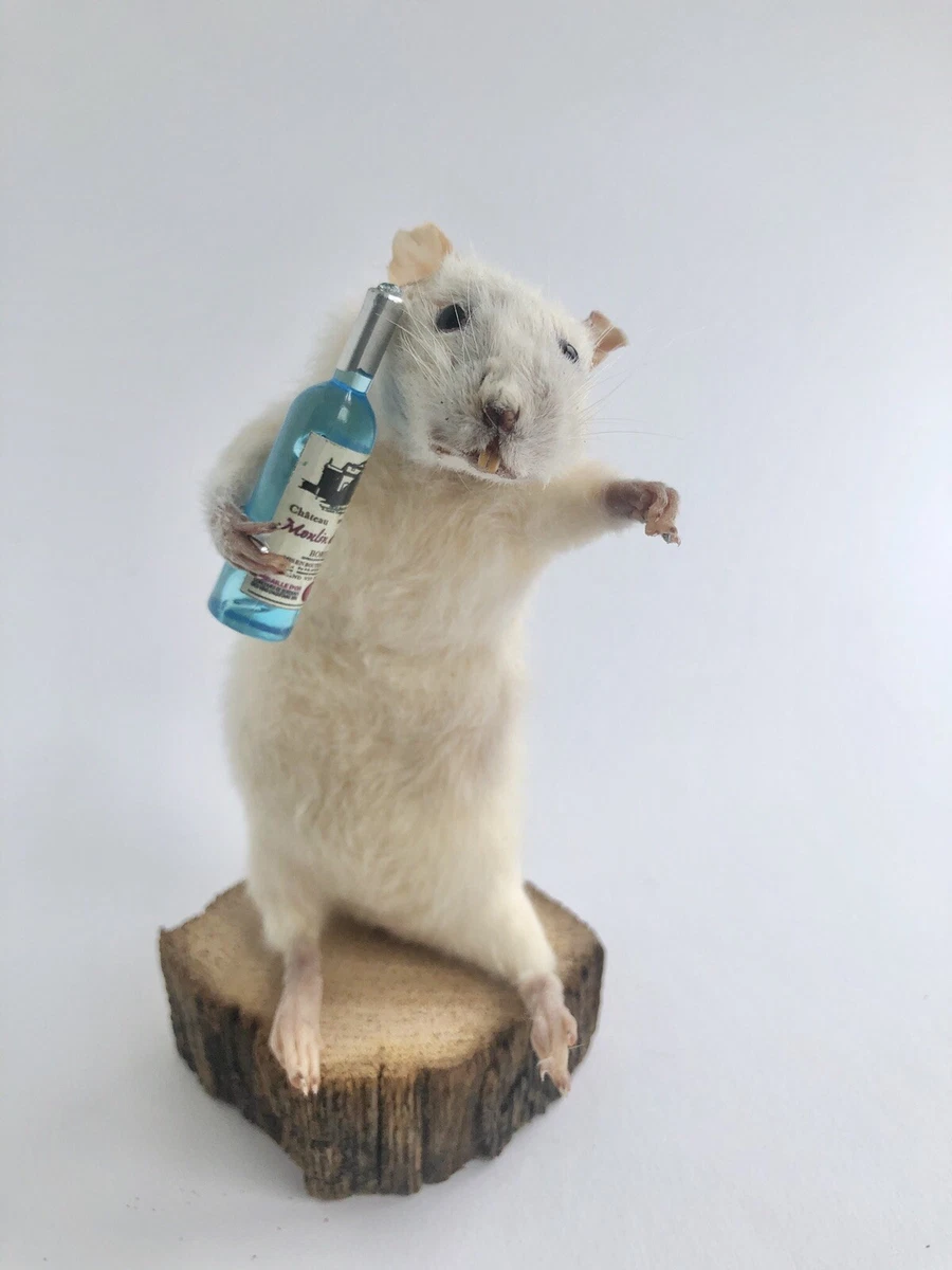 Taxidermy Mouse Rat Rodent With Wine Bottle Made To Order