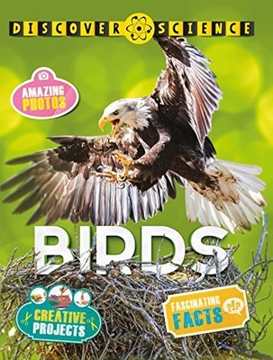 Discover Science: Birds, (individual), Kingfisher