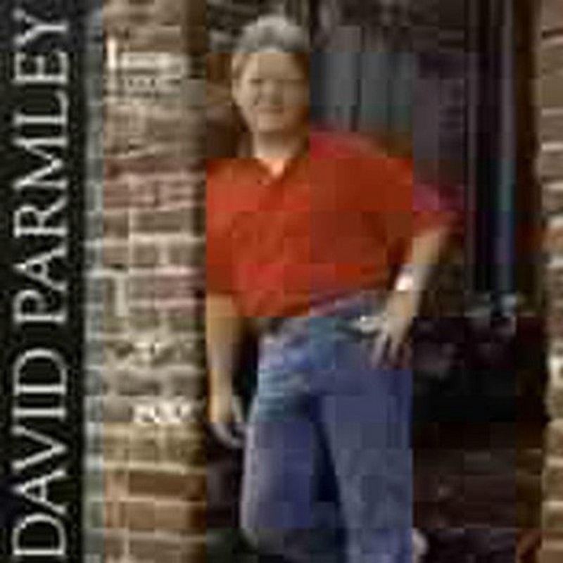David Parmley I Know A Good Thing CD SHCD3777 NEW