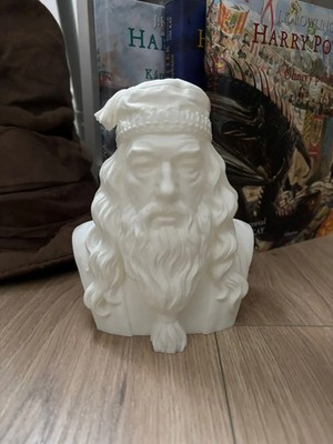 Albus Dumbledore Zauberbüste - Magical Fantasy Display Mehrfarbig