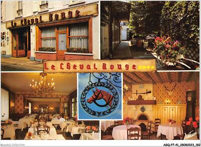 AGQP7-0552-41 - MONTOIRE-SUR-LOIR - Hotel du Cheval Rouge
