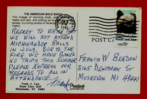 AMERICAN BALD EAGLE postcard US ORGANISED LABOR STAMP Rhinelander CANCEL bird - Picture 3 of 3