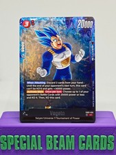Vegeta FB03-020 SR