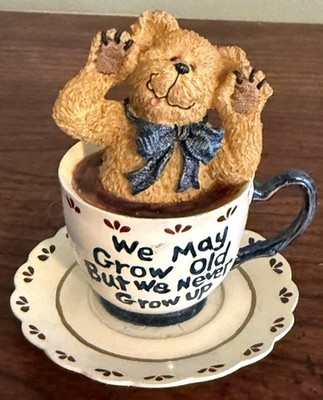 BOYDS BEARS WHIMSLY TEABEARIE Teacup  We May Grow Old But We Never Grow Up  2002