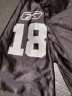 vintage Reebok Oakland Raiders #18 Randy Moss jersey Sz XXL — photo 5