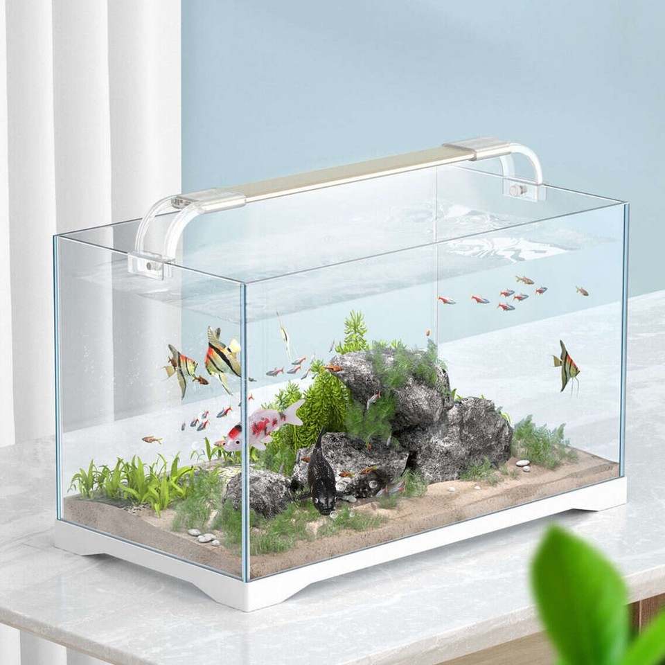 8 Pcs Fish Prop Aquarium Tank Decorations Floating Fake Tropical | eBay ...