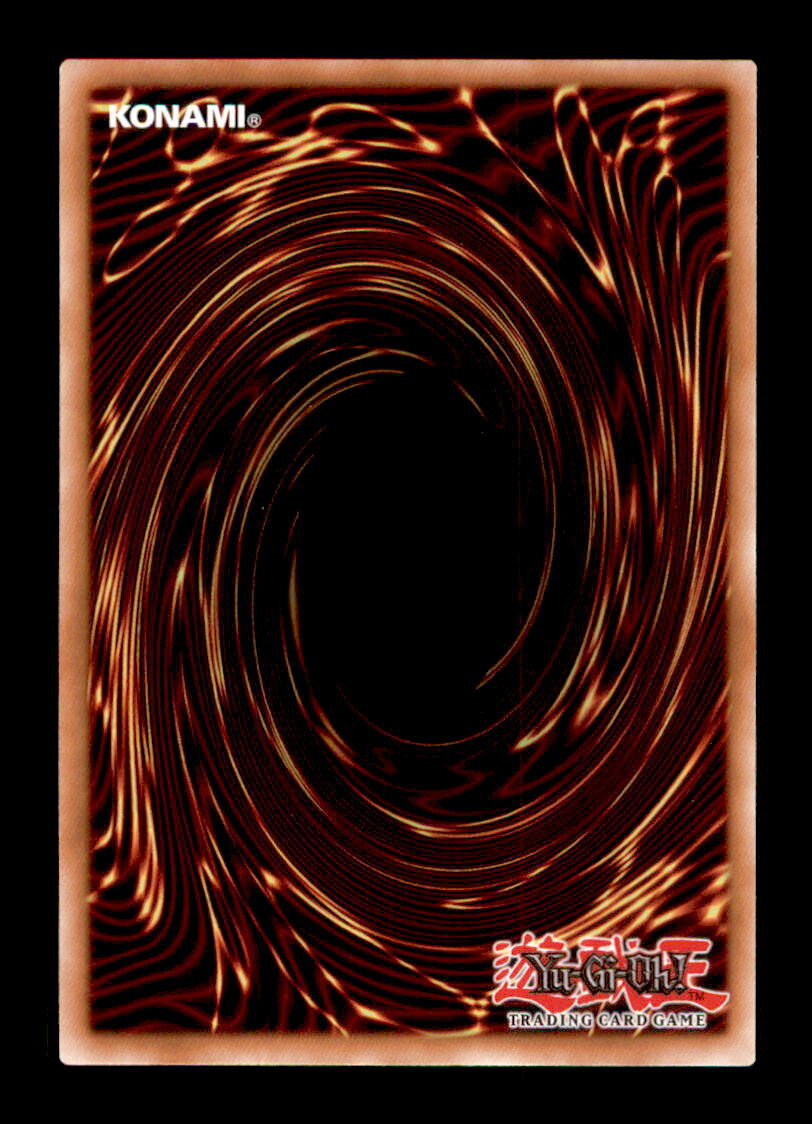 Yugioh EXFO-EN091 Curious The Lightsworn Dominion 1st