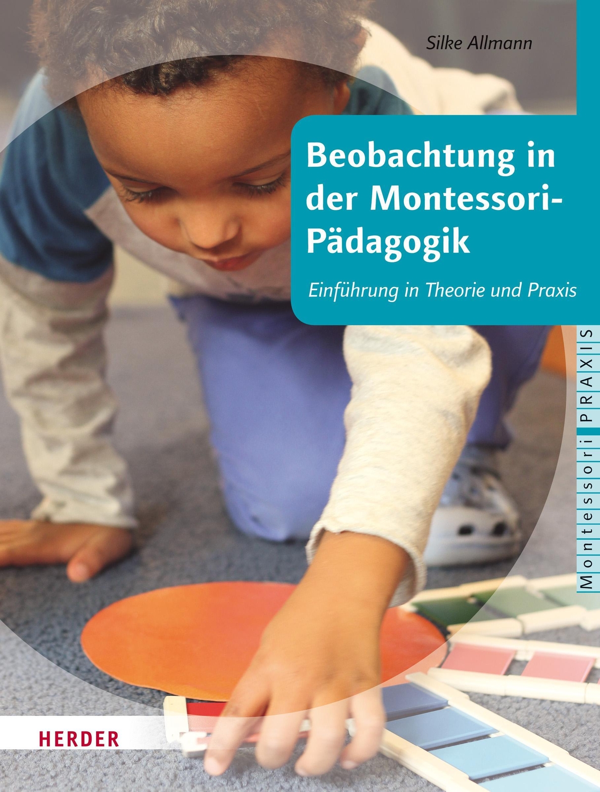 Beobachtung In Der Montessori-pädagogik, Silke Allmann