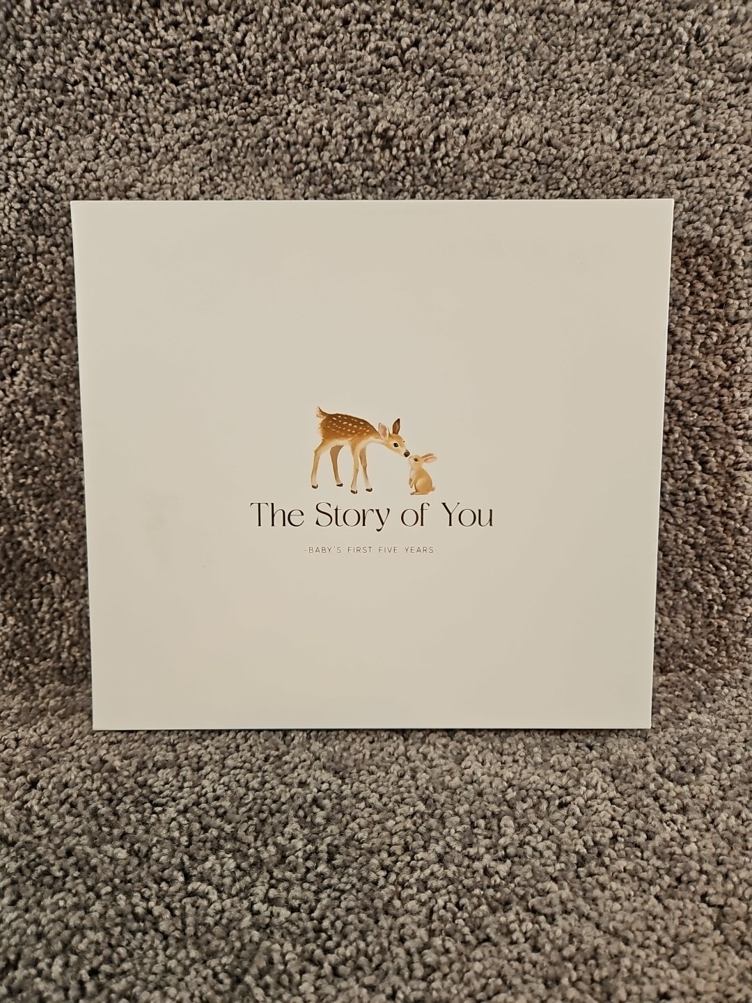 The Story of You: Baby’s First Five Years