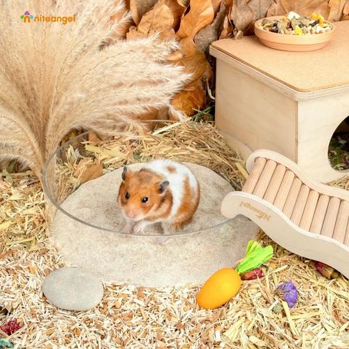 Hamster Desert Bath Sand No-Dust Litter Sand for Gerbils Chinchillas & Mice - Picture 3 of 6