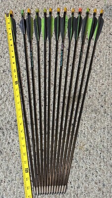 13 -Beman Hunter 50/70 Arrow Shafts w/nocks Target Tips  26''- 12 w/ VANES