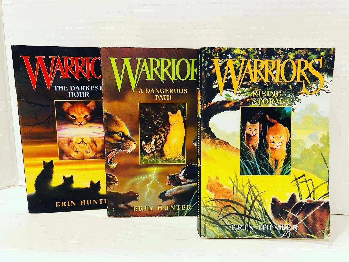 Warrior Cat Books (Erin Hunter)