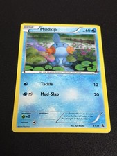 Pokemon Card Holo Black Star Promo - 2014 Mudkip XY38 on eBay