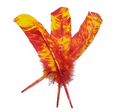 Red and Yellow Tie Dye  10'' - 12''  Feather | Craft Supply | Smudging Feathers