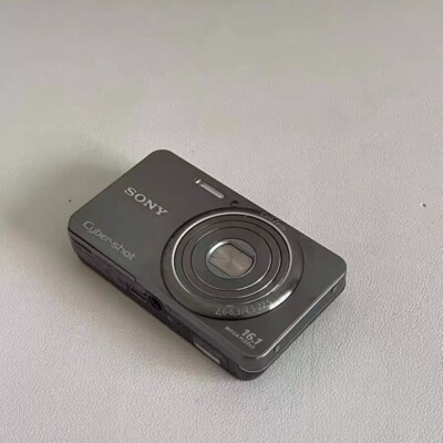 SONY Cyber-shot DSC-W570 16.1MP 5x Optical Zoom Digital Camera