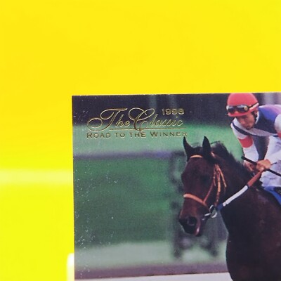 Biko Pegasus/Thoroughbred Horse Racing Card Vintage TCG BANDAI