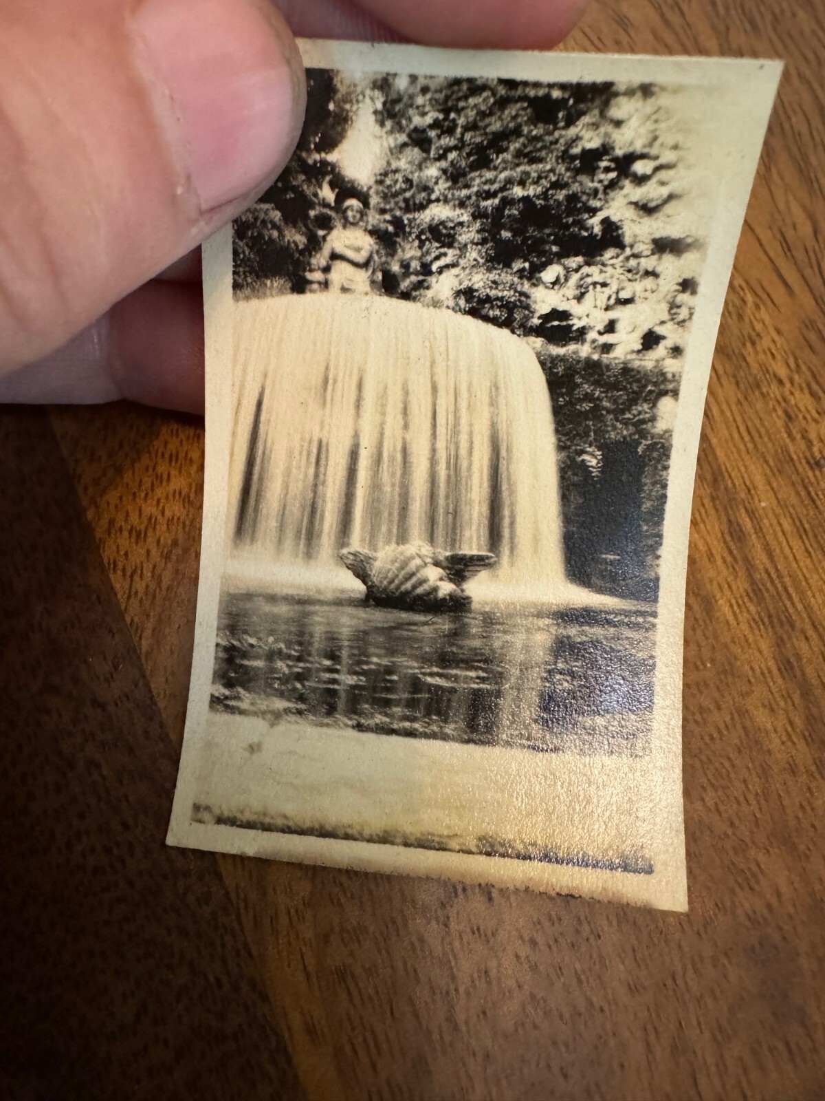 Picture 20 of 24