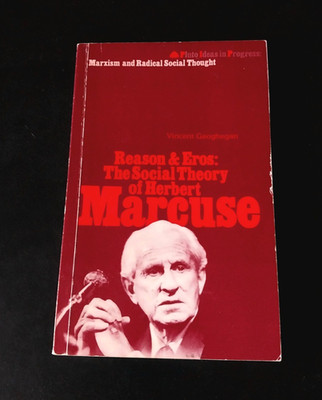 Reason and Eros: The Social Theory of Herbert Marcuse - Pluto Press 1981