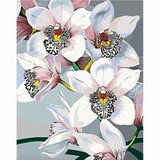 Paint By Numbers Adults kids Three White Flower DIY Painting Kit 40x50CM Canvas