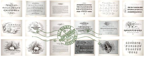 William E Dennis (1914) Studies in Pen Art * Penmanship Alphabets Lettering ABC - Picture 15 of 20
