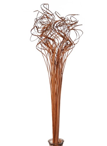 Curly Ting Exotic Wooden Flower Bunch In Light Brown 63cm 60-70 Dried Grass Reed - Picture 2 of 9