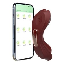 Red Wearable Wireless Remote Control Waterproof Vibrating Panties For Women BDSM