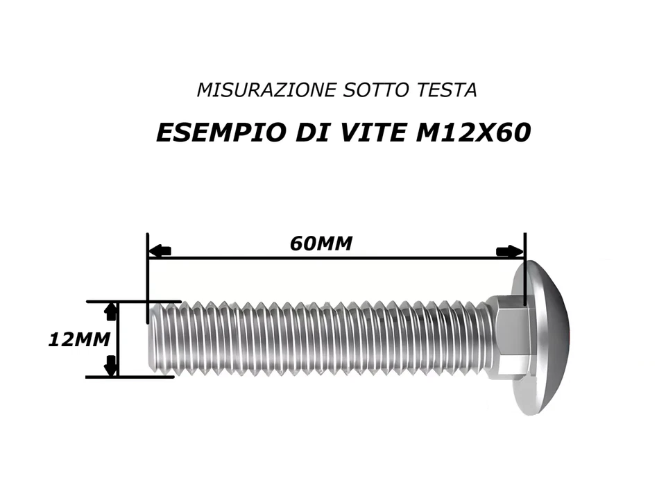VITI M12 IN ACCIAIO INOX PERNI BULLONI TESTA TONDA QUADRO SOTTO TESTA 5732 603 - Immagine 3 di 4