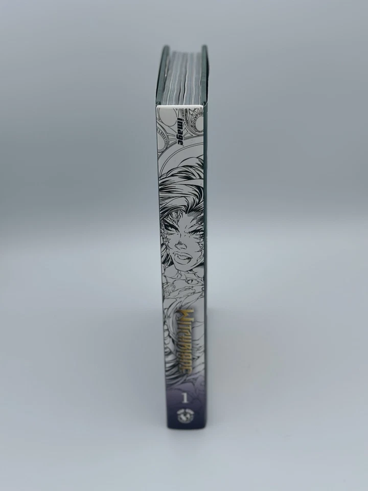 Witchblade HC Vol 1-3 Kickstarter Set Signed Silvestri +Exclusive 4-set comics - Image 4 of 4