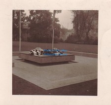 Foto Denkmal Dragoner-Regiment Nr. 7 evtl. aus den 1930er 40er Jahre ? ca7x7